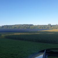 Suche 20 bis 300 ha Freifläche für Solarpark Bestpreise Baden-Württemberg - Reutlingen Vorschau