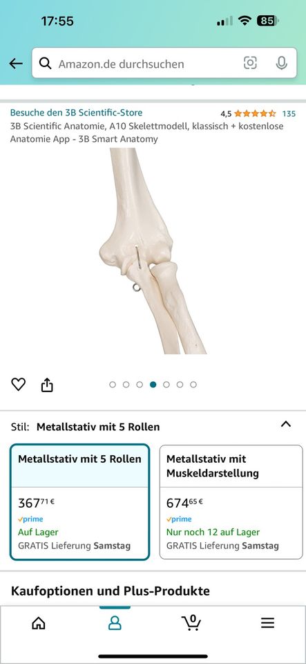 Skelett 3D scientific Anatomie in Dortmund