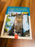 Katzen Katzenhaltung, Katzenpflege Hessen - Kassel Vorschau