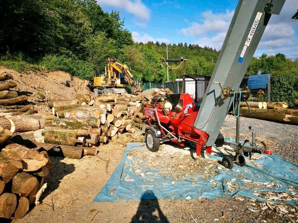 Sägespalter,MOBIL,MIETEN,Sägespaltautomat,Säge,Spalter,Buche,Holz in Hilchenbach