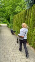 Mantrailing Probetraining - Teamarbeit mit dem Hund Bayern - Weilheim Vorschau