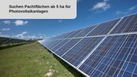 Suchen landwirtschaftliche Flächen zur Pacht ab 5 ha für Photovoltaik - hohe Pacht bis zu 3.200 €! // Sachsen -  Schwepnitz Sachsen - Schwepnitz Vorschau
