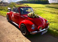 VW Käfer Cabrio Oldtimer Hochzeitsauto Brautauto mieten Nordrhein-Westfalen - Much Vorschau