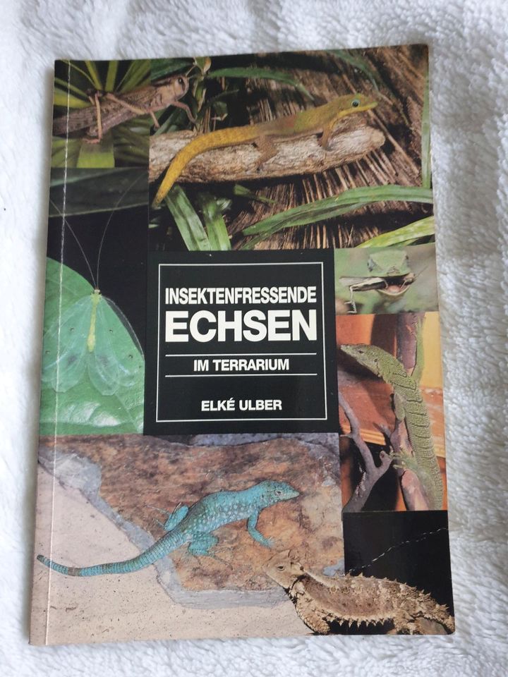 Alles um Terrarien und Echsen Futter Pflege Buch in Duisburg