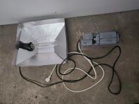 600 W NDL Growlight Pflanzenlampe Wachstumslicht Anzucht Cannabis Nordrhein-Westfalen - Ratingen Vorschau