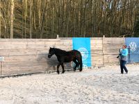 Reiten Angstreiter Coaching Therapie Pferd Reiter Bayern - Bamberg Vorschau