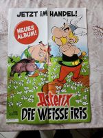 Asterix Plakat vom neuen Album 59,5 x 42 cm Hessen - Steinau an der Straße Vorschau