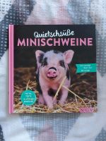 Buch über Minischweine Brandenburg - Forst (Lausitz) Vorschau