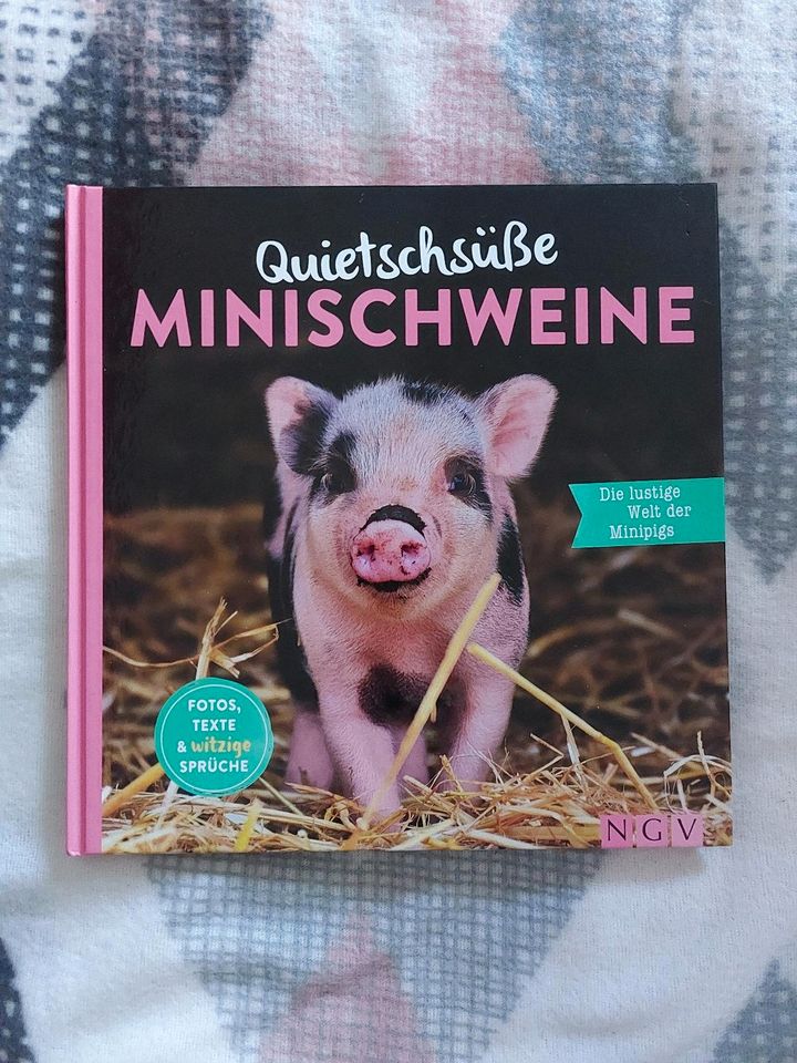 Buch über Minischweine in Forst (Lausitz)