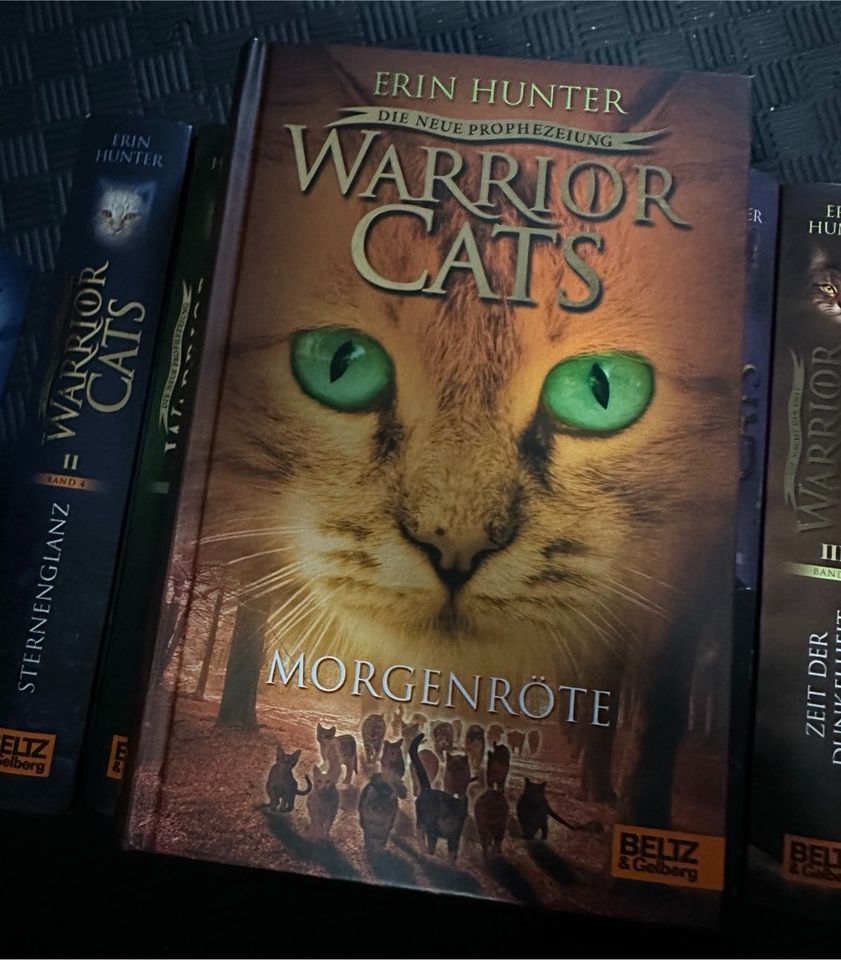 Warrior Cats von Erin Hunter in Detmold