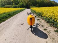 E Liegerad Toxy TT Nordwestmecklenburg - Landkreis - Schönberg (Mecklenburg) Vorschau