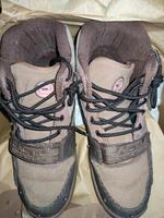 Jordan Air Trainer 1 x Travis Scott Cactus Jack Hessen - Limburg Vorschau