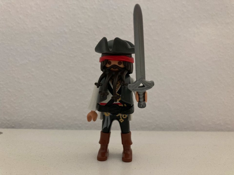 Verschiedene Playmobil - Figuren  - 1€ pro Figur in Itzehoe