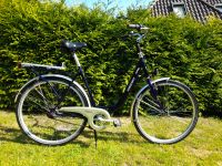 Damen Citybike, 7-Gang Nabenschaltung, Rh: 57cm Schleswig-Holstein - Preetz Vorschau