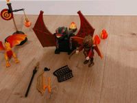 Playmobil Novelmore Burnham Raiders Kampftraining des Drachen Rheinland-Pfalz - Dörsdorf Vorschau