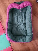 Babynest zum schlafen Nordrhein-Westfalen - Gelsenkirchen Vorschau