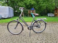 Fahrrad Batavus Fuego 8 - Citybike - 2016 Rahmenhöhe 53cm Nordrhein-Westfalen - Bocholt Vorschau