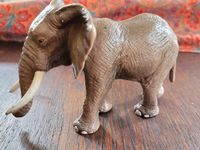 Schleich - Tiere - Afrikanischer Elefant Dresden - Äußere Neustadt Vorschau