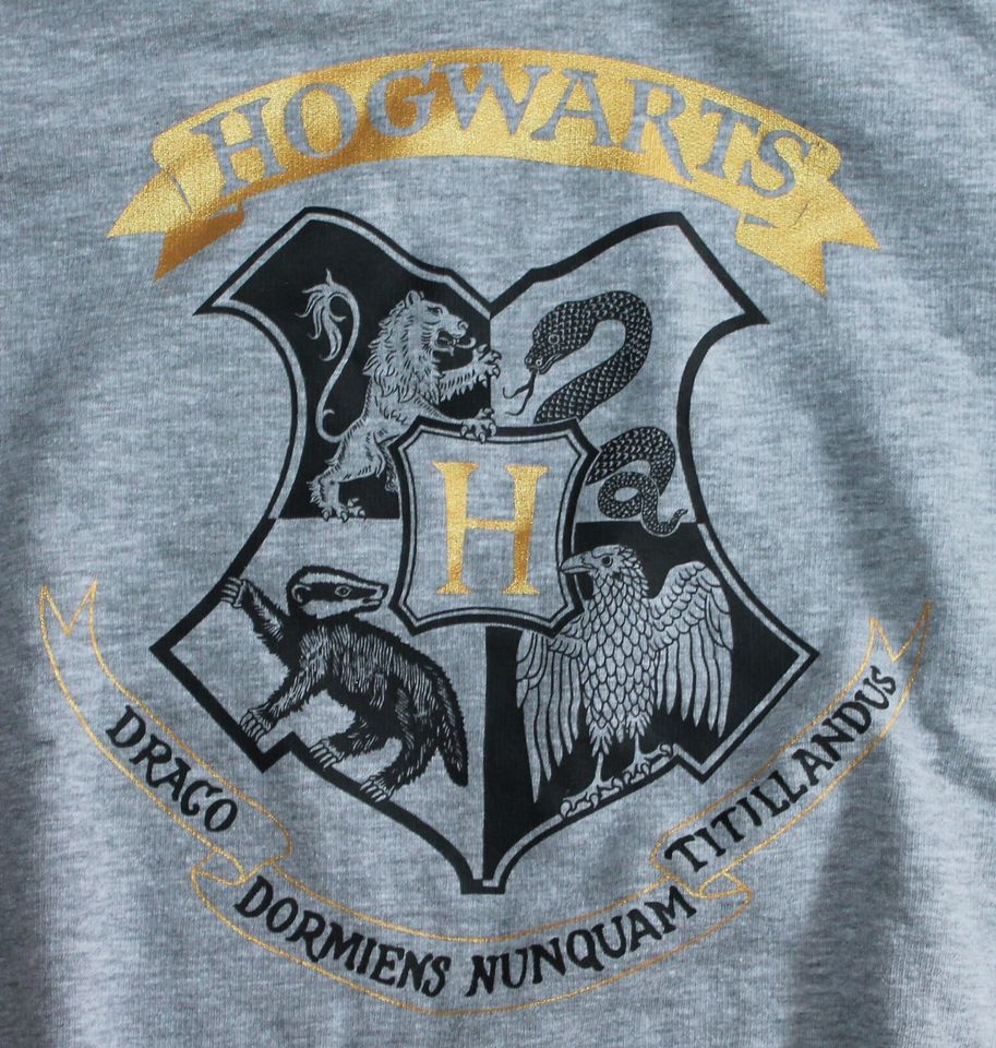 HARRY POTTER Hogwarts Kapuzenpullover Sweat Pullover Gr.44 46 in Dautphetal