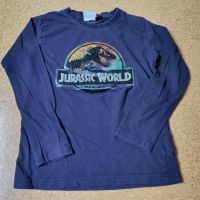 Jurassic Park Langarmshirt Größe 122/128 Hessen - Büttelborn Vorschau