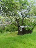 Garten mit Hütte in Geradstetten zu verpachten, Obst, Tiere uvm.. Baden-Württemberg - Remshalden Vorschau