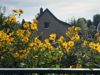 Einfamilienhaus mit Garten im Berliner Umland zu vermieten Brandenburg - Neuenhagen Vorschau