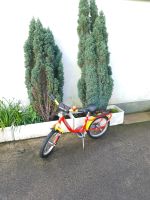Kinder Fahrrad 16 Zoll Pyky Wie Neu Düsseldorf - Eller Vorschau