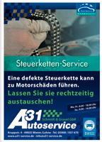 Steuerketten/Zahnriemen Service A31 Wietmarschen - Lohne Vorschau