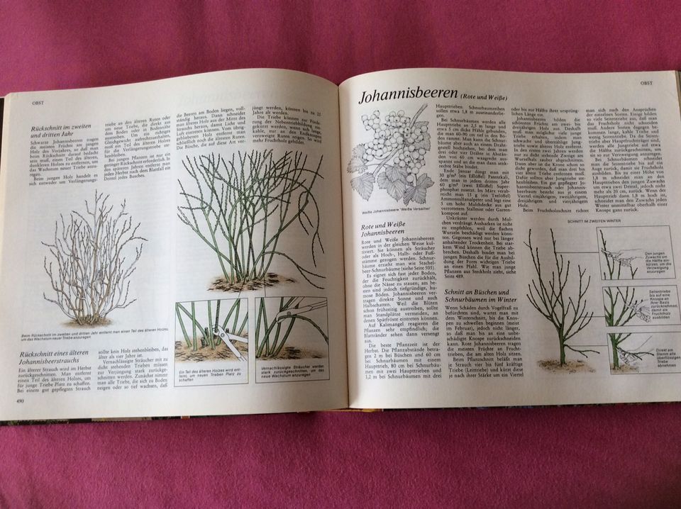 Buch - Mehr Freude am Garten - ADAC Ratgeber - Natur Pflanzen in Bekond