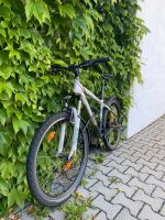 Focus Mountainbike Hessen - Darmstadt Vorschau