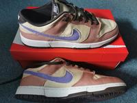 Nike Dunk Retro Gr. 47 (Neu) Sachsen - Burgstädt Vorschau