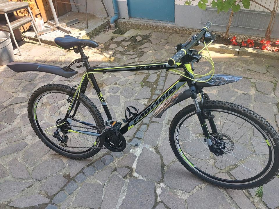 26 Zoll jungen Fahrrad (Capriolo. ) in Uetersen