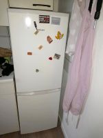 Kühlschrank mit gefrier unterschrank Nordrhein-Westfalen - Dülmen Vorschau
