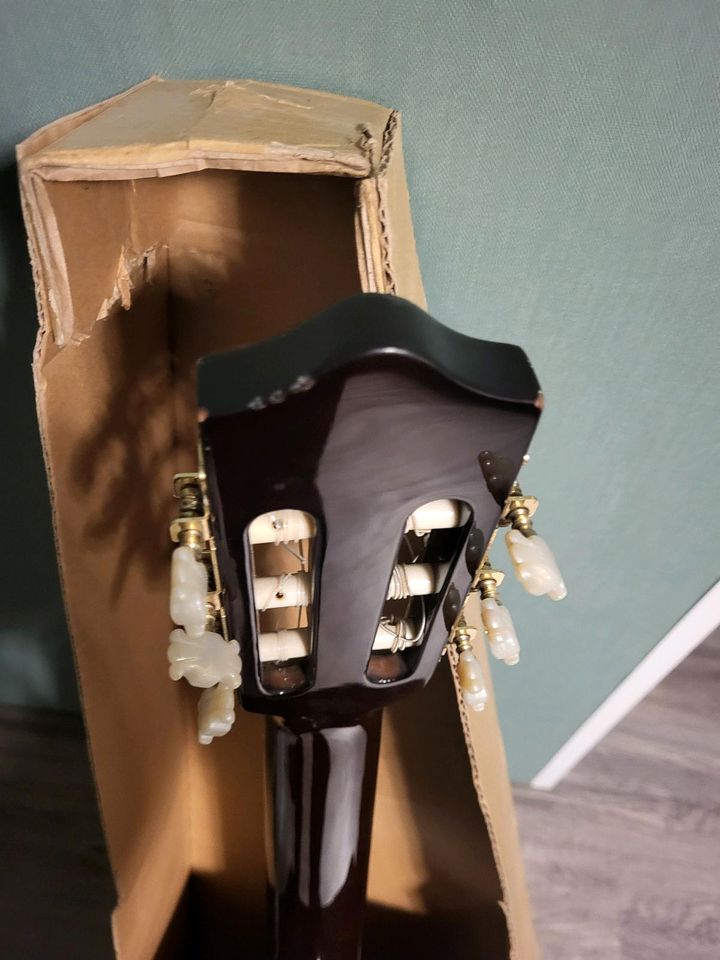 Classik Gitarre in Kerpen