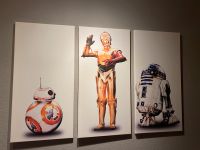 Star Wars Bilder Oppenheim - Köngernheim Vorschau