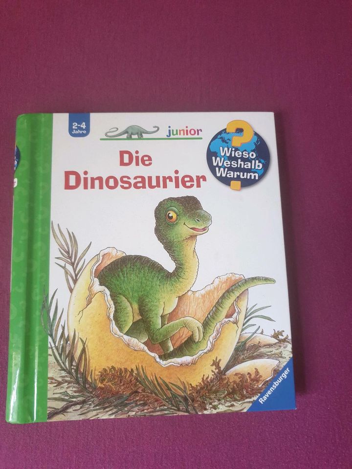 Dinosauria Buch in Neuenhagen