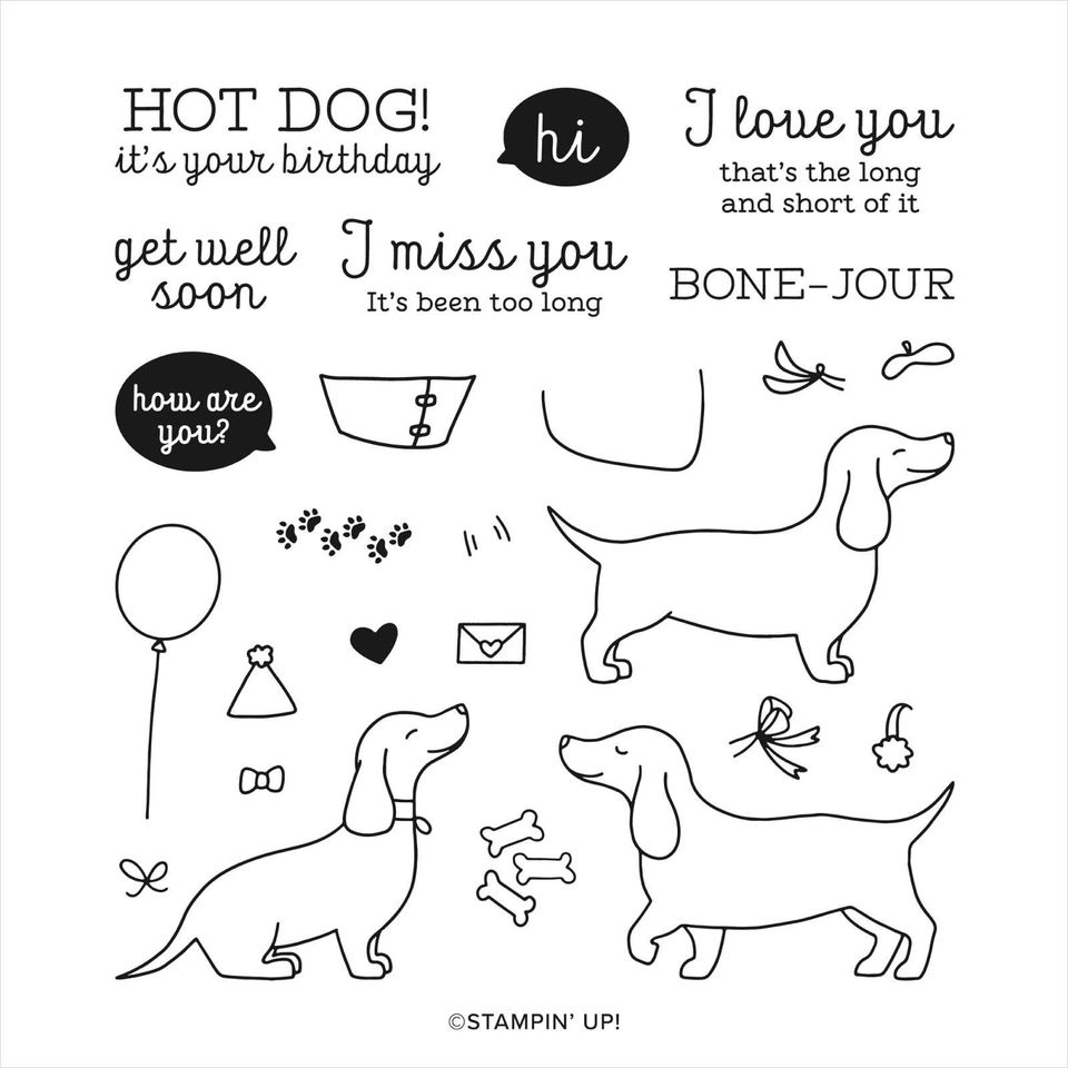 Stampin Up Stempelset HOT DOG + STANZFORMEN,niedliche Dackel NEU in Neudietendorf