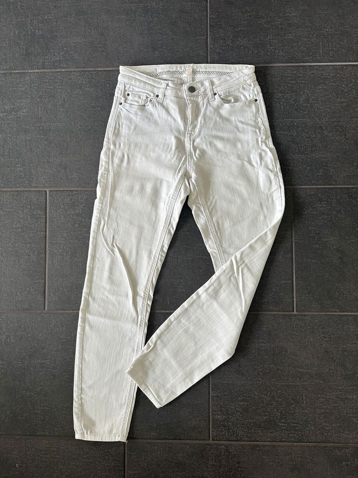 Damen Jeans Esprit 26 28 in Limburg