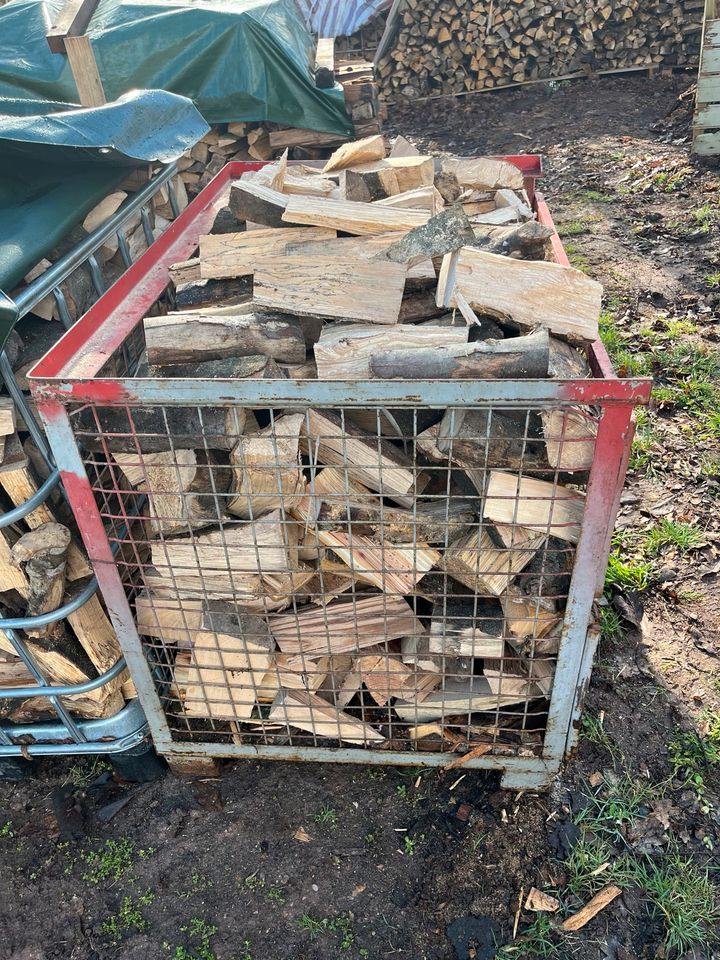 Brennholz frisch Buche in Bockenheim an der Weinstraße