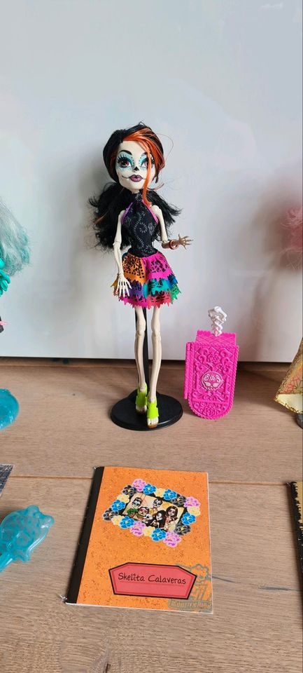 Monster High normal und zum Selbstgestalten in Sankt Augustin