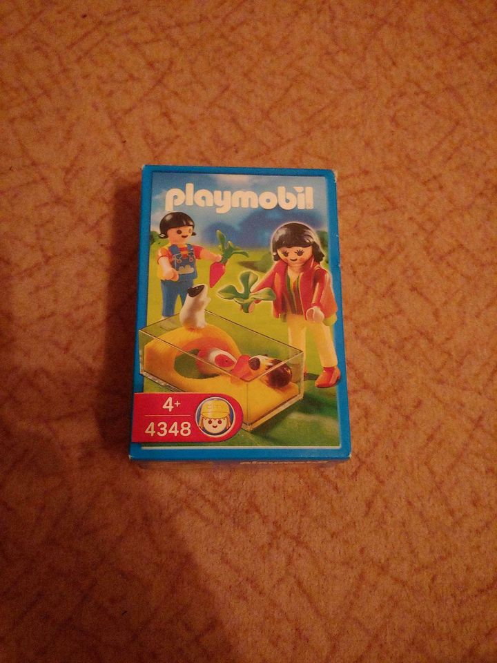 Playmobil Sets in Karlshuld