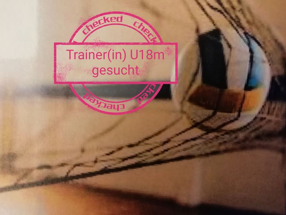 Trainer(in) Volleyball für U18/männlich gesucht in Unterschleißheim