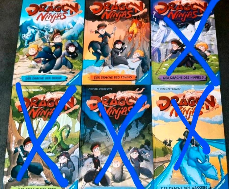 Dragon Ninjas Kinder-Bücher Band 1,2 in Gerzen