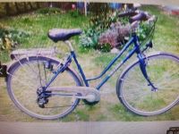 Fahrrad DamenRad "Villiger" Rad Trekking Cruiser Bike Hessen - Lich Vorschau