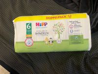 Hipp Windel Gr.6 Thüringen - Jena Vorschau