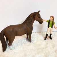 Schleich Pflegerin mit Pferd Brandenburg - Königs Wusterhausen Vorschau