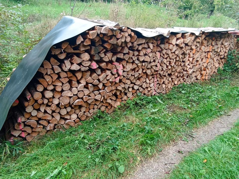 Brennholz Ofenfertig in Bühlerzell