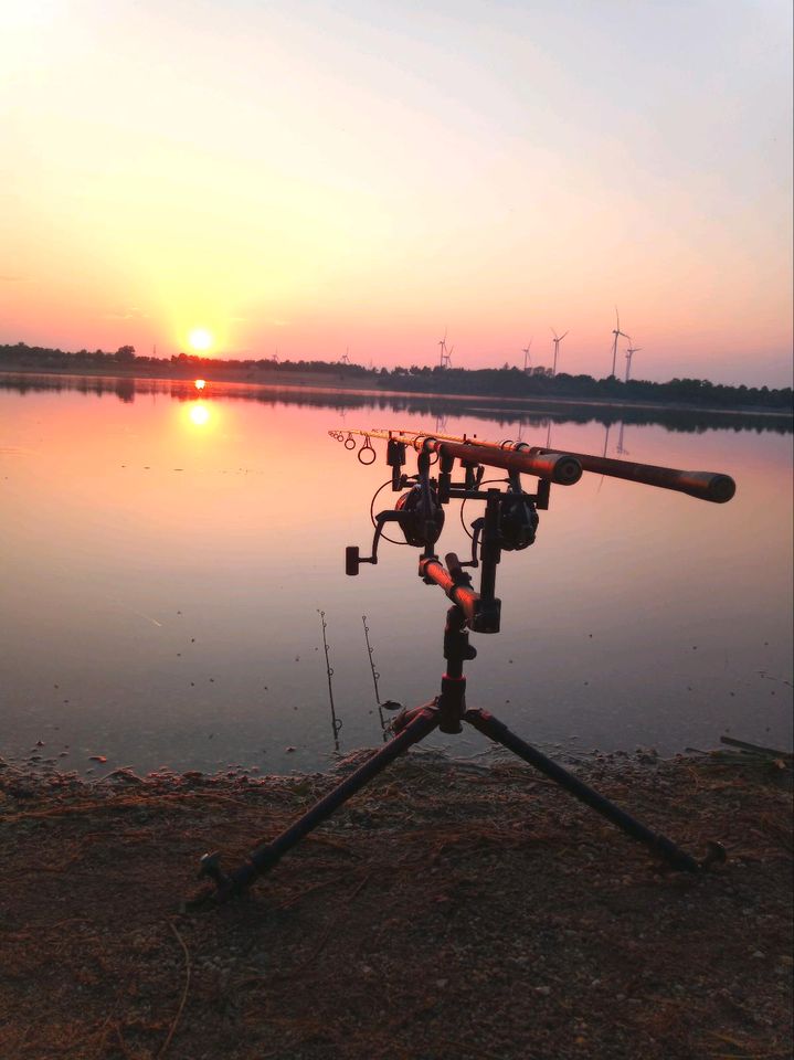 Custom Rod Pod/ tripod/ Karpfen angeln in Könnern