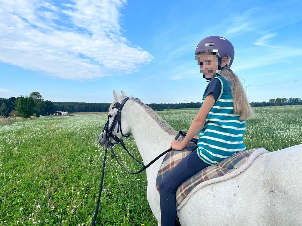 Reitunterricht für Kinder, Führstunde, Ausritte in Rheinsberg