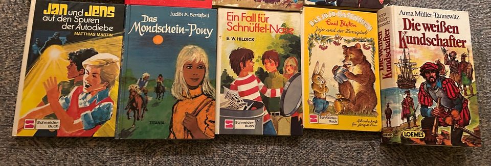 13 verschiedene Kinderbücher „Holzauge“, „Das Sams“, „Jojo“ in Dortmund